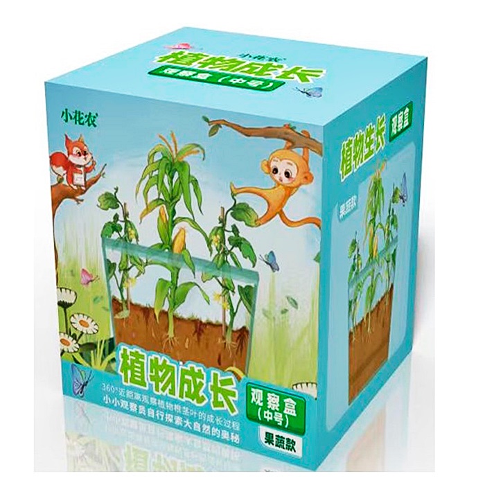 Набір "Ботанічні Експерименти" X2024-073 оптом